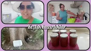 KIŞLIK KONSERVE YAPMAYA BAŞLADİM❌KAÇ KAVANOZ YAPTIM ACABA❌DOKTOR KONTROLÜNE GİDİYORUM. 
