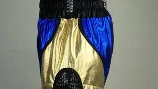 Gold blue and black wet look Muay Thai shorts