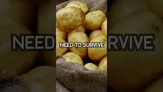 Thieves After SHTF
