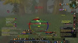 Turtle WOW,retribution paladin open world PVP - Balyan son of Edoras : I did not start this ....