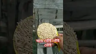 আয় তৌই তৌই তৌই #hen #nature #catcare #catcare #nature