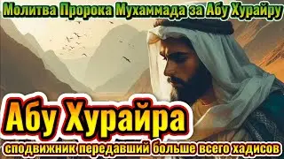 Абу Хурайра || Завещание и последние дни Абу Хурайры
