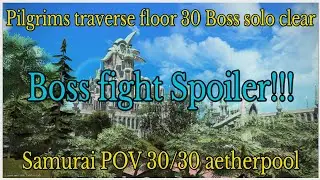 Soloing Pilgrims traverse floor 30 boss