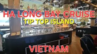 Ha Long Bay Cruise and Tip Top Island 