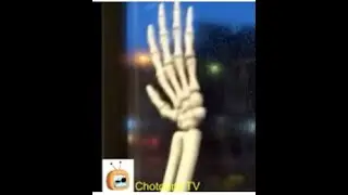the skeleton hand in the window on the bus chotoonz tv cartoons for kids