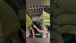 Проверка зерна без вскрытия мешка.