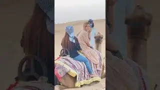 Must watched world famous Desert safari Tour view