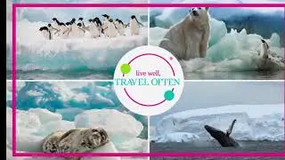 Antarctica Discovery Virtual Expedition