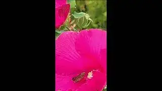 প্রকৃতির কোলে কিছুটা শান্তি | Bangladesh Nature Study Park