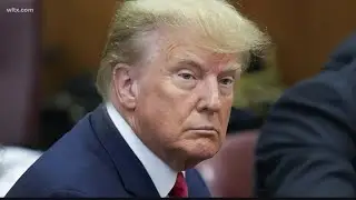 Donald Trump pleads not guilty to 34 charges at arraignment in New York