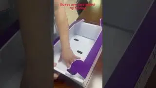 Jianxin Corrugated Plastic Fruit Box