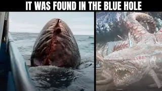 5 Chilling Discoveries in the Great Blue Hole