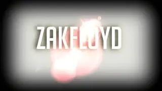 ZAKFLOYD dans battlefield