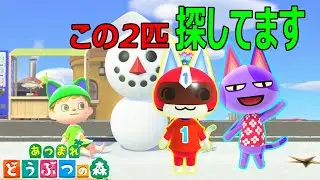 「あつ森 」1号かニコバンを探せぇ！！