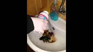 Pratix Çzm Lavabo açıcı