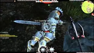 Darkfall, Killing PvE'ers