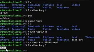 Learn Linux Basics: Files, Directories, Editors & Links