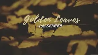 [Vietsub + Lyrics] Golden Leaves - Passenger