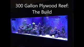 300 Gallon Plywood Reef: The Build