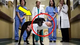 Dog Suddenly Ran Into The Hospital & Nurse Broke Down in Tears When She Discovered The Reason...