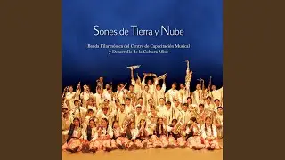 12 Pinotepa