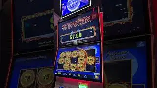 #casino #crowncasino #australia #slot #winner #progressive #bonus #dragonlink #likeandsubscribe