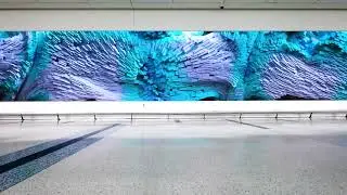 CLT Art &ndash; Interconnected by Refik Anadol's
