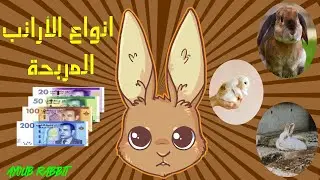 سلسلة محترف الأرانب :الحلقة 2 : الأرانب المناسبة للإحلال /شراء الأرانب المناسبة