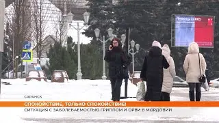 Ситуация с заболеваемостью гриппом и ОРВИ в Мордовии