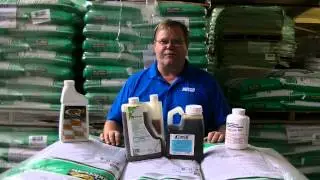 How to Control Crabgrass | Buyer's Guide