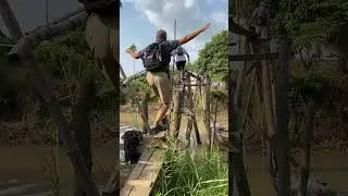 Crossing the monkey bridge in Vietnam, 2022 ￼