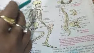 Biology class-9 Mushroom cultivation and Skeleton date-11.12.2020
