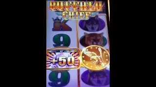Buffalo Chief Bonus