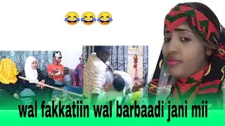 🛑gochii rawwatama jiruu kuni gaara jabeenya jireenya jawade balleesuuf muratee