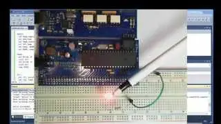 ECED3204 Lab #1 - Blinking an LED in C and Assembly