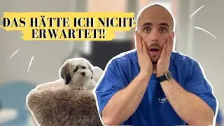 Trocken- und Nassfutter mischen? I FEHLER? I Ultimativer Trockenfutterguide I Fibis Adventures