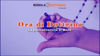 ORA DI DOTTRINA/191 - La predestinazione di Maria