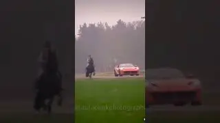 WHO HAS MORE HORSEPOWER: FERRARI OR FRIESIAN?!🐎🚘🏁 #streamhorsetv #ferrari #horse #horsepower #shorts