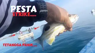 Mancing Ikan Tanda - Tanda Babon Di Spot Karang Dangkal