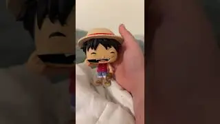 The king of the Pirates monkey d luffy
