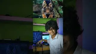 World&rsquo;s Only Black Tiger 😱 #BlackTiger #RareWildlife