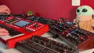 Small jam with Behringer Model-D, Pro-800, KOBOL & Akai MINI D