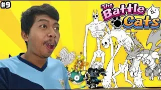 Road To Bahamut | The Battle Cats Indonesia #9