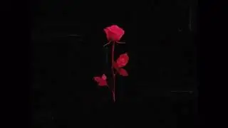 Purx|Feed Me Lies|(Prod.Purx)
