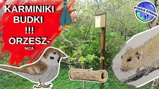 Wywalają ziarno z karmnika ! i inne komentarze widzów