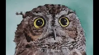 Cute Little Owl - watercolor and ink - bird painting demonstration