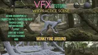 VFX Creature Practice Scene - Monkeying Around