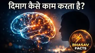 दिमाग से जुड़े रोचक तथ्य | Brain Facts in Hindi | Bhasav Facts