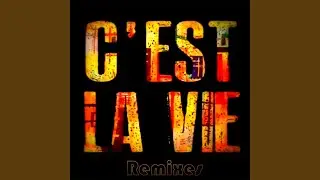 C'est La Vie (French Version Remix)