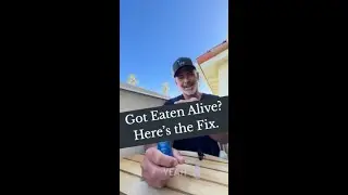 Bug bites? Here's the fix.